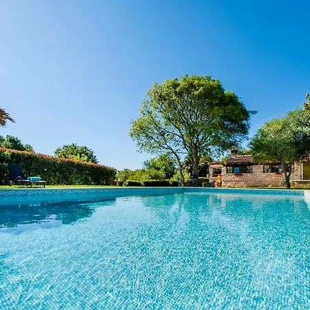 Antica * روفينج